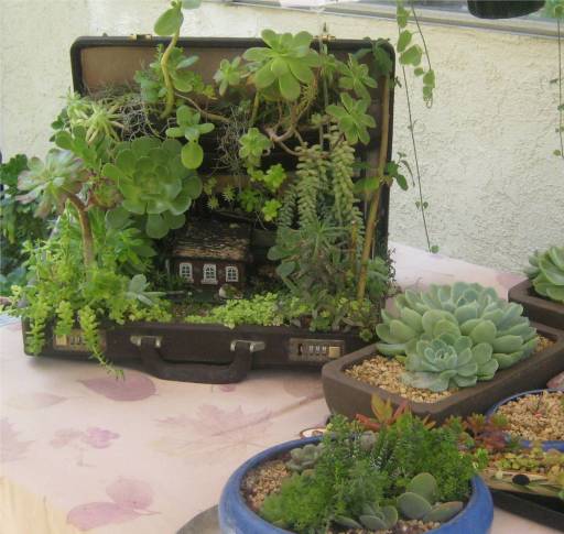 miniature garden won in oc fair 2013